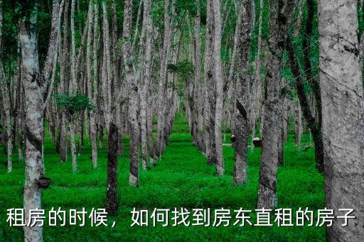 租房的時候，如何找到房東直租的房子