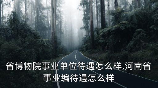 河南省博物院事業單位待遇怎么樣,河南省事業編待遇怎么樣