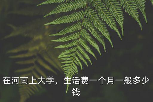 在河南上大學(xué)，生活費(fèi)一個(gè)月一般多少錢