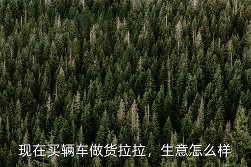 鄭州貨拉拉單怎么樣,開貨拉拉怎么樣呀
