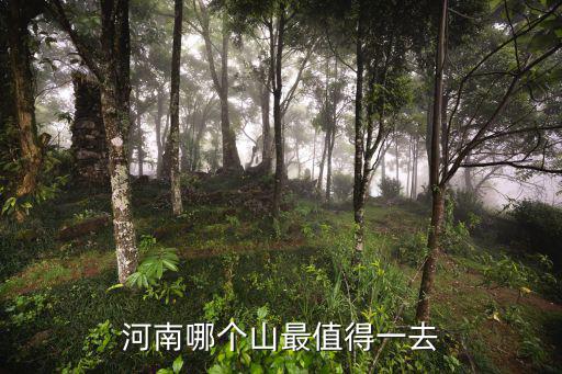 河南哪個山最值得一去