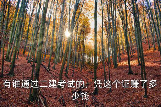 有誰通過二建考試的，憑這個證賺了多少錢