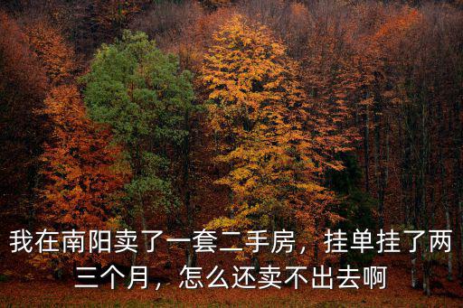 我在南陽賣了一套二手房，掛單掛了兩三個月，怎么還賣不出去啊