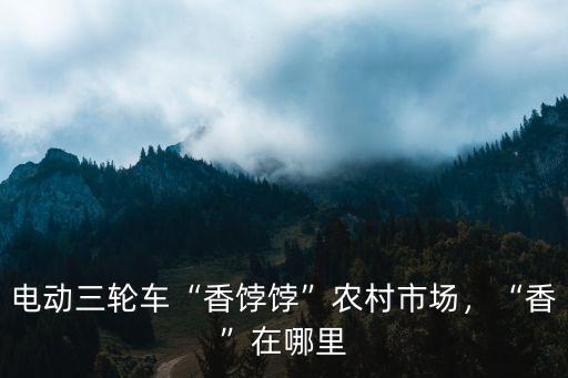 焦作電動三輪市場在哪里,而市場上還不停在賣電動三輪