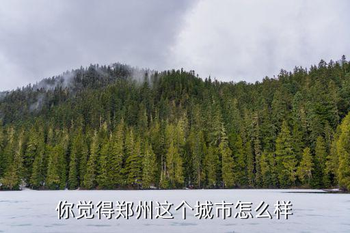 鄭州車好好怎么樣,在鄭州跑滴滴怎么樣
