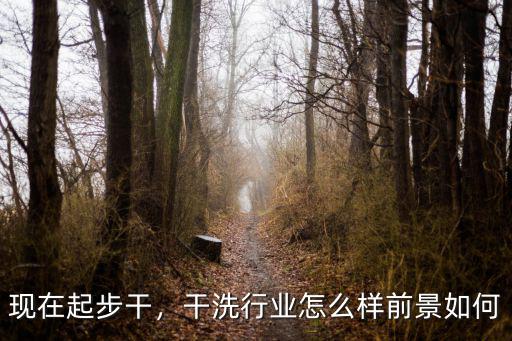 現在起步干，干洗行業怎么樣前景如何