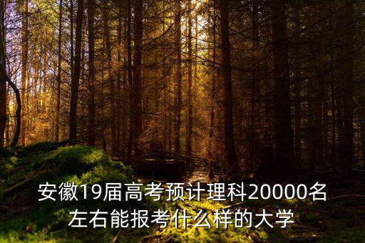 安徽19屆高考預計理科20000名左右能報考什么樣的大學