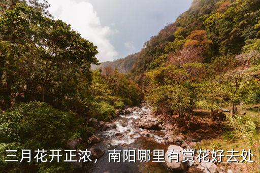 三月花開正濃，南陽哪里有賞花好去處