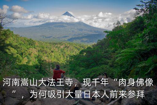 河南嵩山大鳥是怎么回事,這是怎么回事