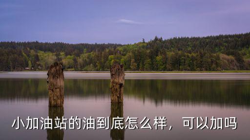 周口高莊加油站的油質(zhì)量怎么樣,小加油站的油到底怎么樣
