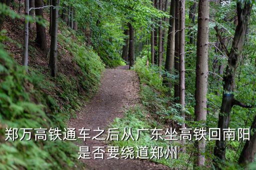 鄭萬高鐵南陽東站有多少車次,僅有鄭萬高鐵