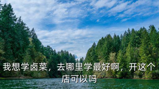 我想學鹵菜，去哪里學最好啊，開這個店可以嗎
