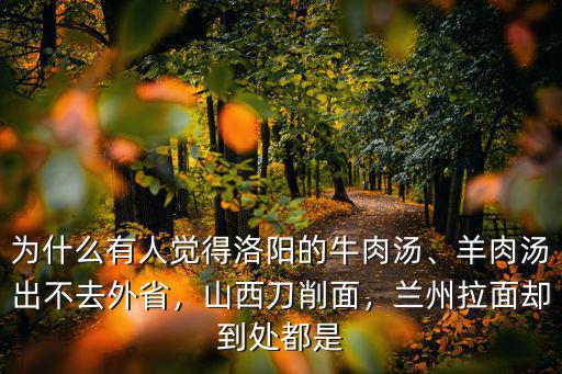 洛陽牛肉湯怎么帶走,洛陽牛肉湯和豆腐湯