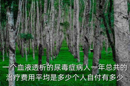 一個血液透析的尿毒癥病人一年總共的治療費用平均是多少個人自付有多少