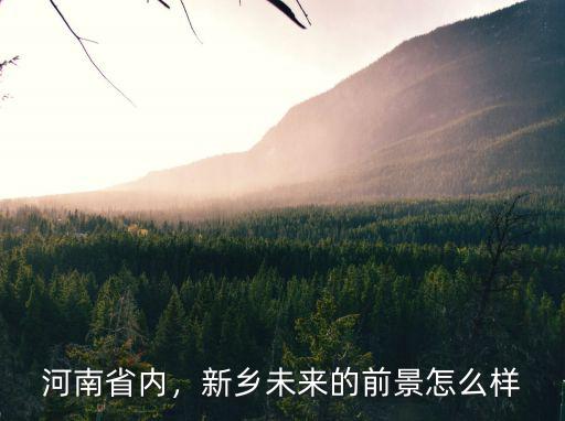 新鄉(xiāng)張開明怎么樣,新鄉(xiāng)學院怎么樣