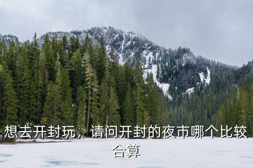 想去開封玩，請問開封的夜市哪個比較合算