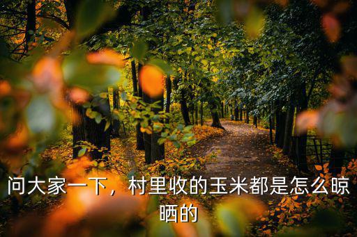 問大家一下，村里收的玉米都是怎么晾曬的