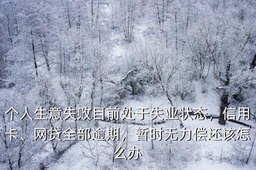 個人生意失敗目前處于失業狀態，信用卡、網貸全部逾期，暫時無力償還該怎么辦
