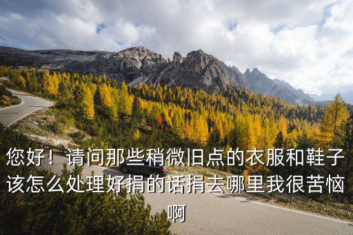 您好！請問那些稍微舊點的衣服和鞋子該怎么處理好捐的話捐去哪里我很苦惱啊