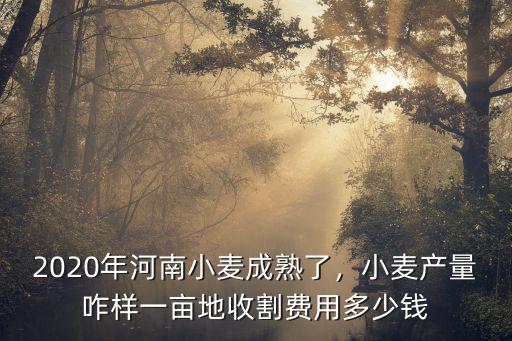 河南小麥一畝打多少斤,烏克蘭小麥一畝能產多少斤