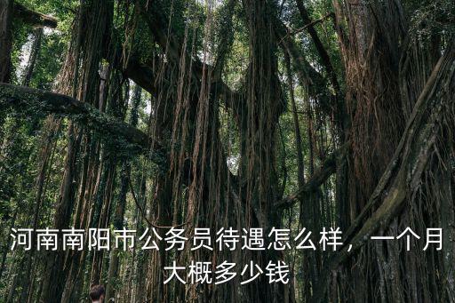 河南南陽市公務員待遇怎么樣，一個月大概多少錢