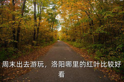 洛陽楓葉在哪里,洛陽有楓葉林嗎