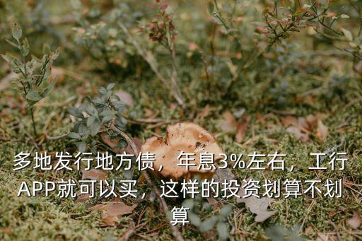 河南發行地方債在哪里買,多地發行地方債