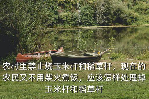 農村里禁止燒玉米桿和稻草桿，現在的農民又不用柴火煮飯，應該怎樣處理掉玉米桿和稻草桿