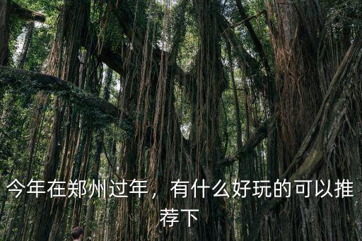 今年過年鄭州哪里有廟會,今年在鄭州過年