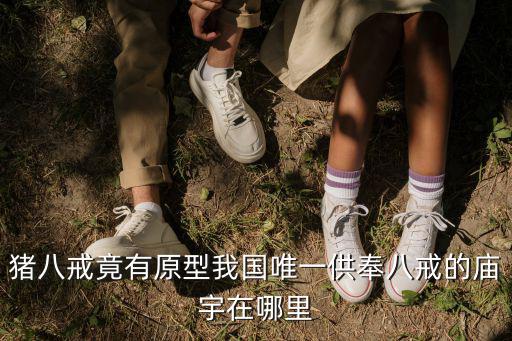 豬八戒竟有原型我國唯一供奉八戒的廟宇在哪里