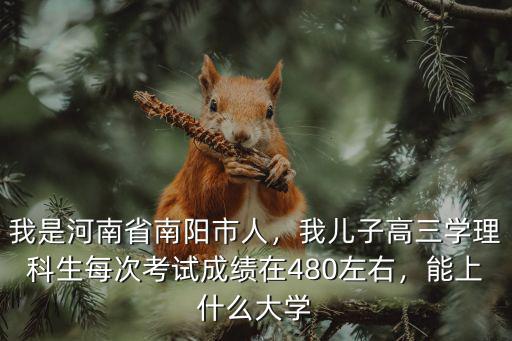 我是河南省南陽市人，我兒子高三學理科生每次考試成績在480左右，能上什么大學