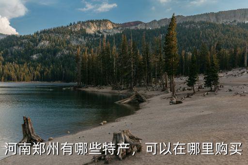 河南鄭州有哪些特產(chǎn)，可以在哪里購買