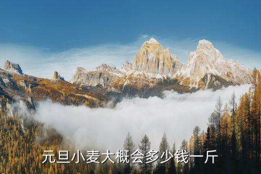 開封杞縣現在小麥價格多少錢一斤,元旦小麥大概會多少錢一斤