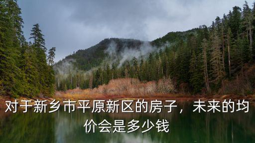 新鄉市區哪里的房子賣的好,買哪里的性價比好