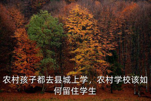 農(nóng)村孩子都去縣城上學(xué)，農(nóng)村學(xué)校該如何留住學(xué)生