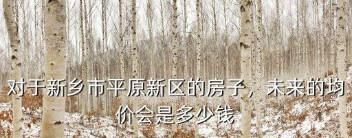 新鄉平區新區房價多少,對于新鄉市平原新區的房子