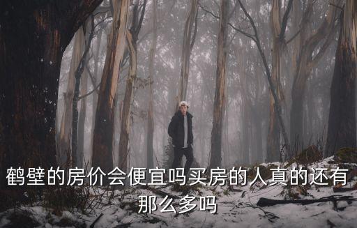 鶴壁的房?jī)r(jià)會(huì)便宜嗎買房的人真的還有那么多嗎