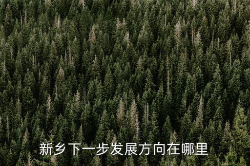 新鄉下一步發展方向在哪里