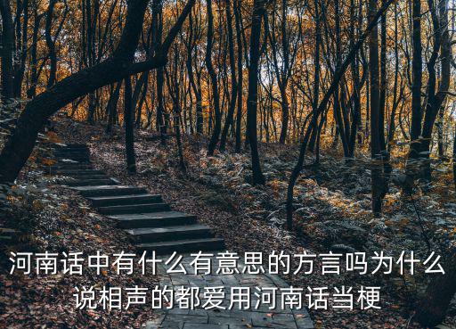 河南話中有什么有意思的方言嗎為什么說(shuō)相聲的都愛(ài)用河南話當(dāng)梗