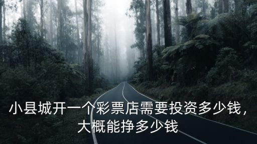 河南新鄉(xiāng)投資一家彩票店多少錢,開個彩票店大概要多少錢