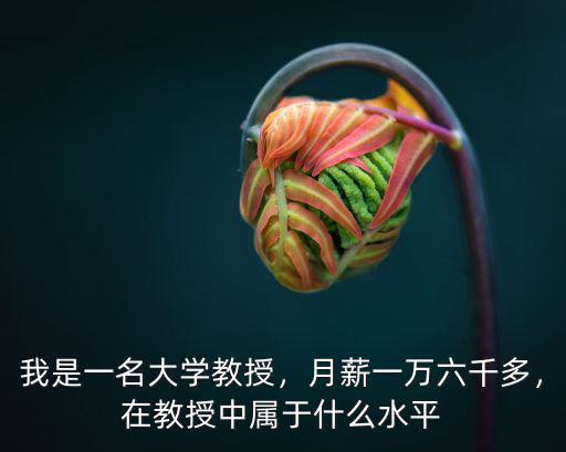 我是一名大學(xué)教授，月薪一萬六千多，在教授中屬于什么水平