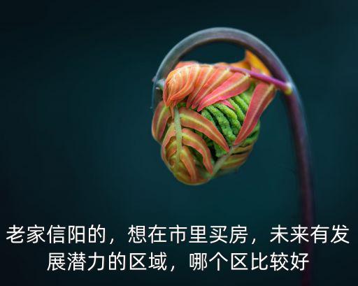 信陽市買房哪里好一些,想在市里買房