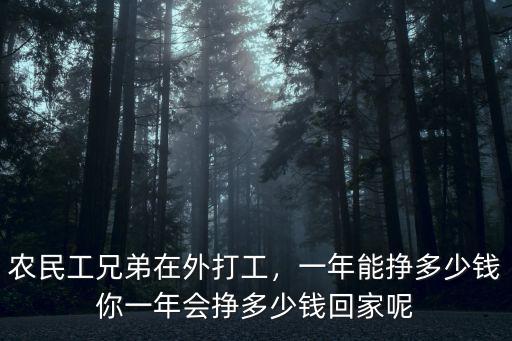 農民工兄弟在外打工，一年能掙多少錢你一年會掙多少錢回家呢