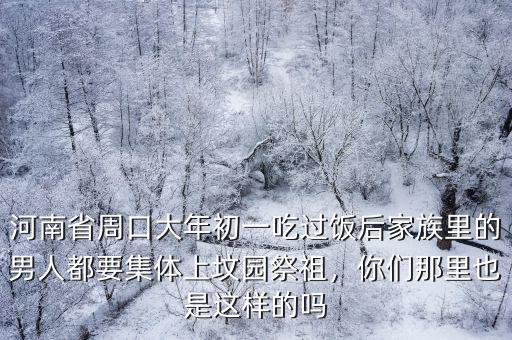 河南省周口大年初一吃過飯后家族里的男人都要集體上墳園祭祖，你們那里也是這樣的嗎