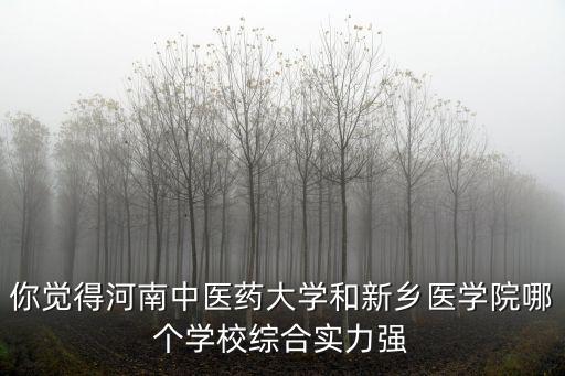 新鄉(xiāng)中醫(yī)藥大學(xué)一附院怎么樣,新鄉(xiāng)醫(yī)學(xué)院實(shí)力怎么樣