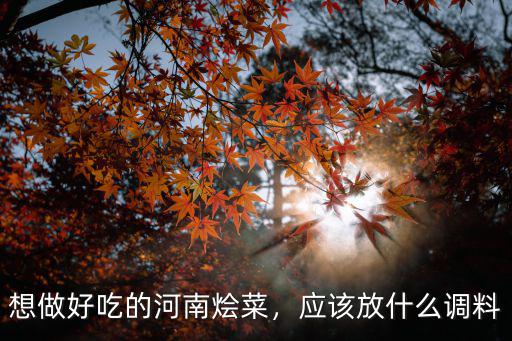 想做好吃的河南燴菜，應該放什么調料