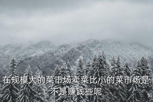 在規模大的菜市場賣菜比小的菜市場是不是賺錢些呢