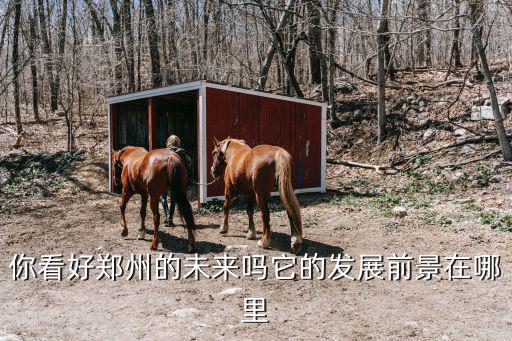 你看好鄭州的未來嗎它的發(fā)展前景在哪里