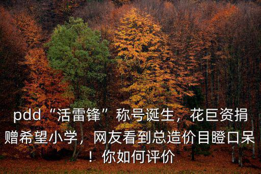 在河南怎么樣捐贈希望小學,PDD捐贈希望小學完工