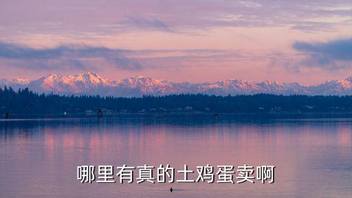 哪里有真的土雞蛋賣啊